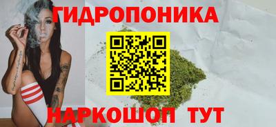 ешки Краснознаменск
