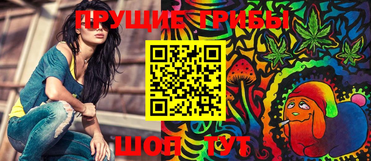 Псилоцибиновые грибы Psilocybe  Псилоцибиновые грибы ЛСД  Кстово  Вход с VPN 